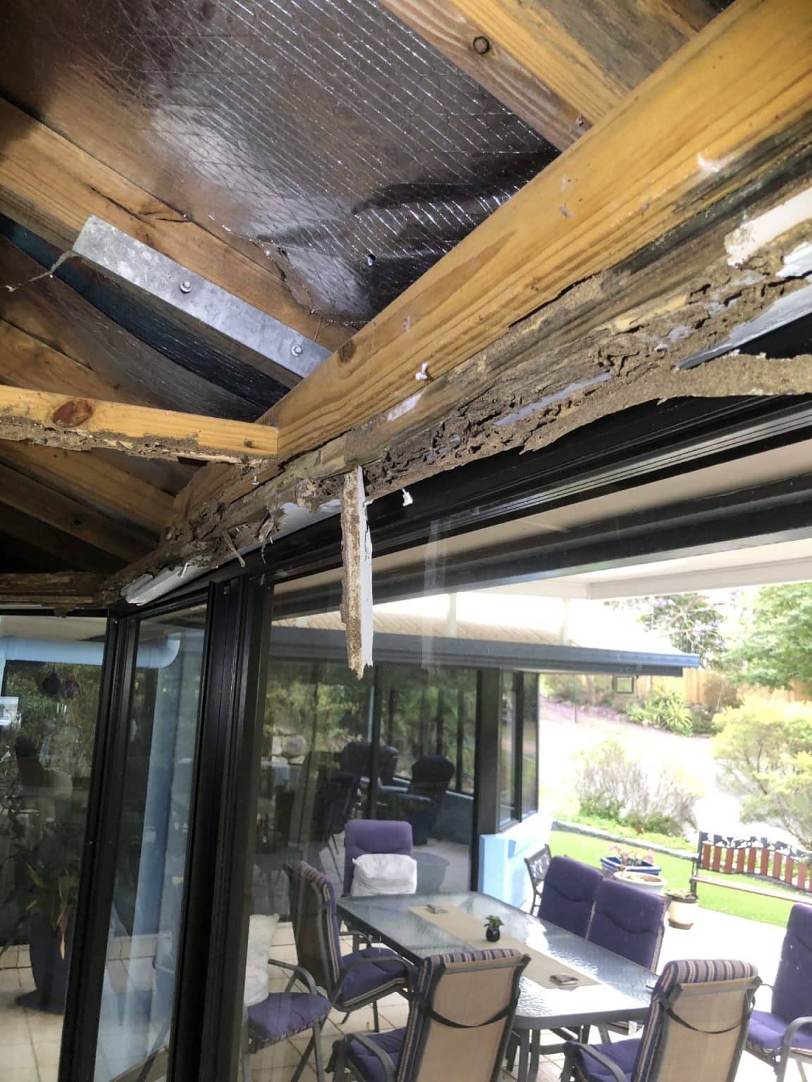 The importance of keeping up regular termite inspections ...