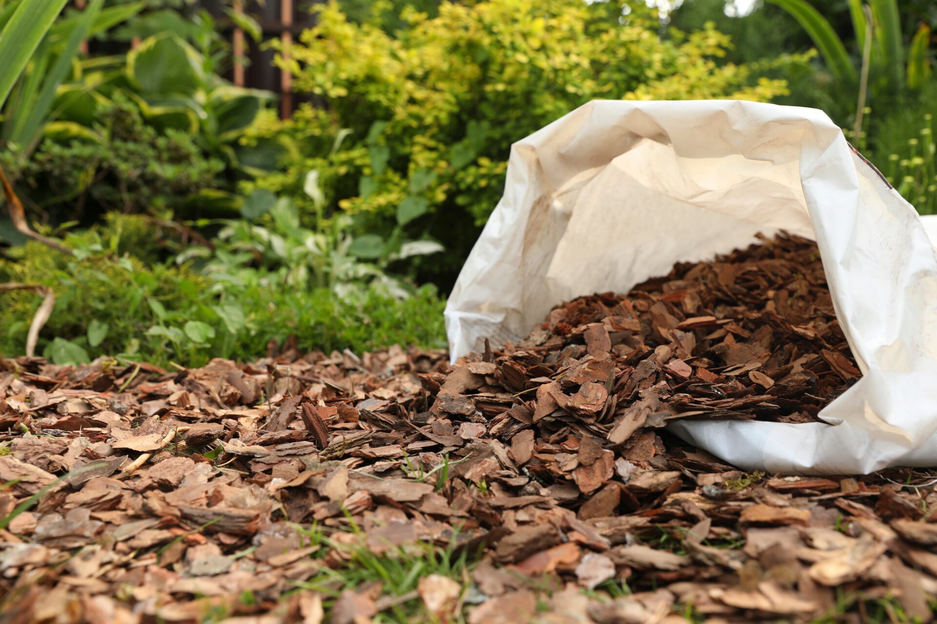 A pile of organic wood chip mulch being spread from a bag onto a garden bed.