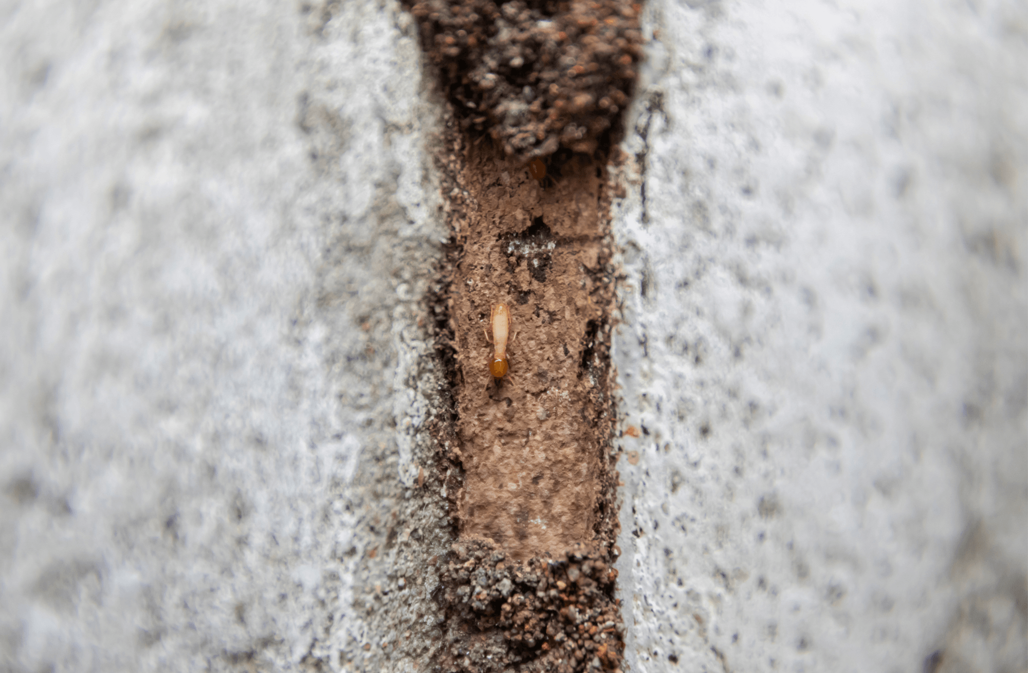 The Real Cost of Skipping Your Cold Weather Property Protection